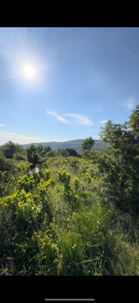 KAZ DAĞLARI OTEL BÖLGESİNDE FIRSAT BAĞ