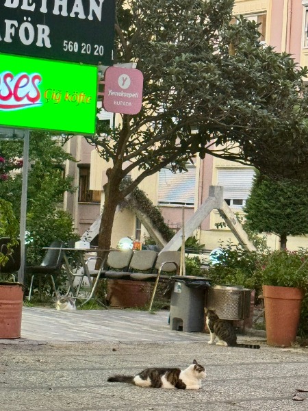  ATAKÖY 7/8 KISIM MARTI SİTESİ 3+1 SATILIK DAİRE