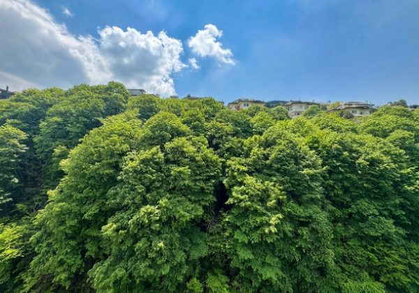 ACARVERDE RESIDENCE'DE ORMAN MANZARALI SATILIK 3+1 DAİRE küçük görsel