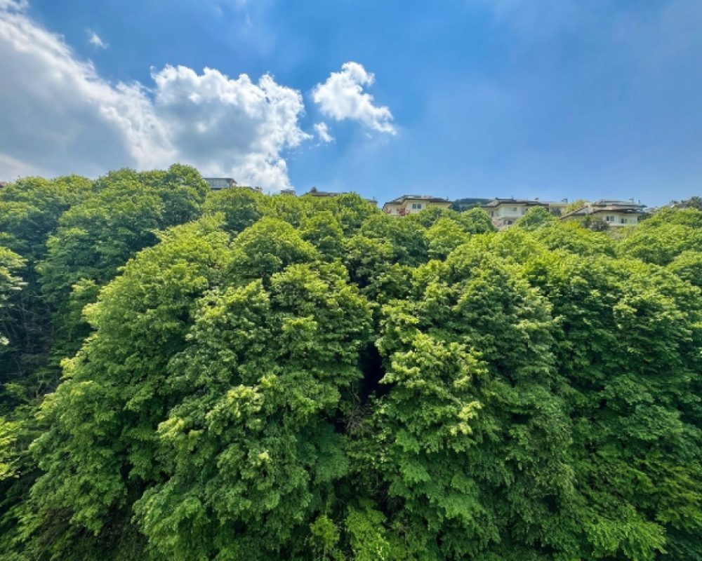 ACARVERDE RESIDENCE'DE ORMAN MANZARALI SATILIK 3+1 DAİRE