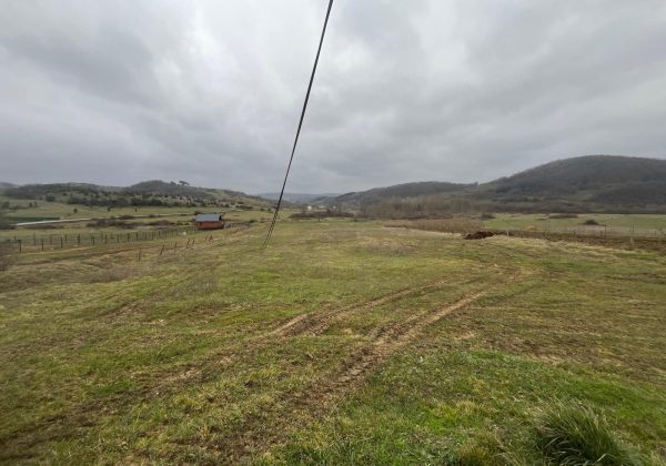 Remax7tepe den Şile ağva da 7650 metre arsa