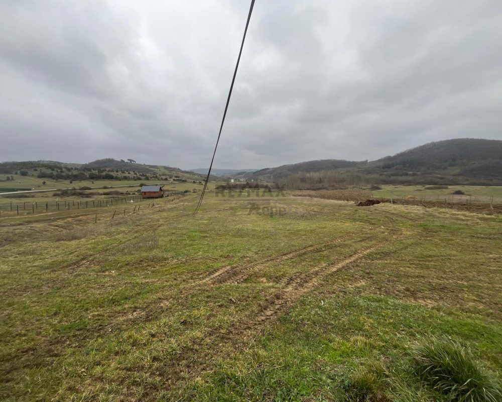 Remax7tepe den Şile ağva da 7650 metre arsa