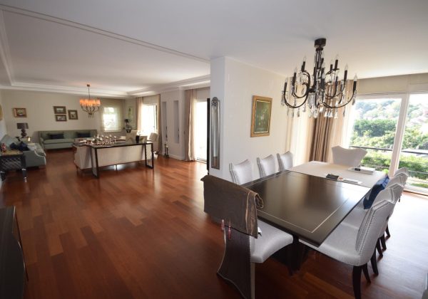 REMAX7TEPE DEN ACARKENTTE SATILIK C REVİZYON VİLLA küçük görsel