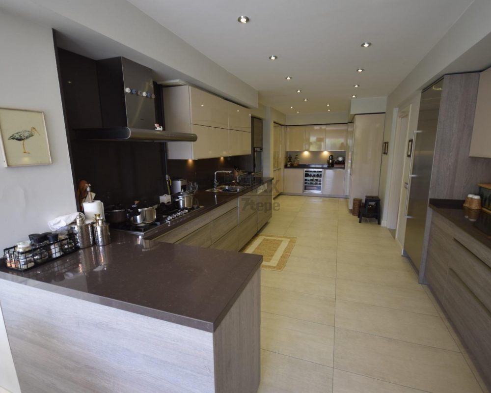 REMAX7TEPE DEN ACARKENTTE SATILIK C REVİZYON VİLLA