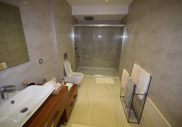 REMAX7TEPE DEN ACARKENTTE SATILIK C REVİZYON VİLLA küçük görsel