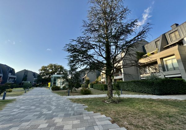 Şehre Yakın Kalabalıktan Uzak Seçkin Okullara Adım Mesafesinde küçük görsel