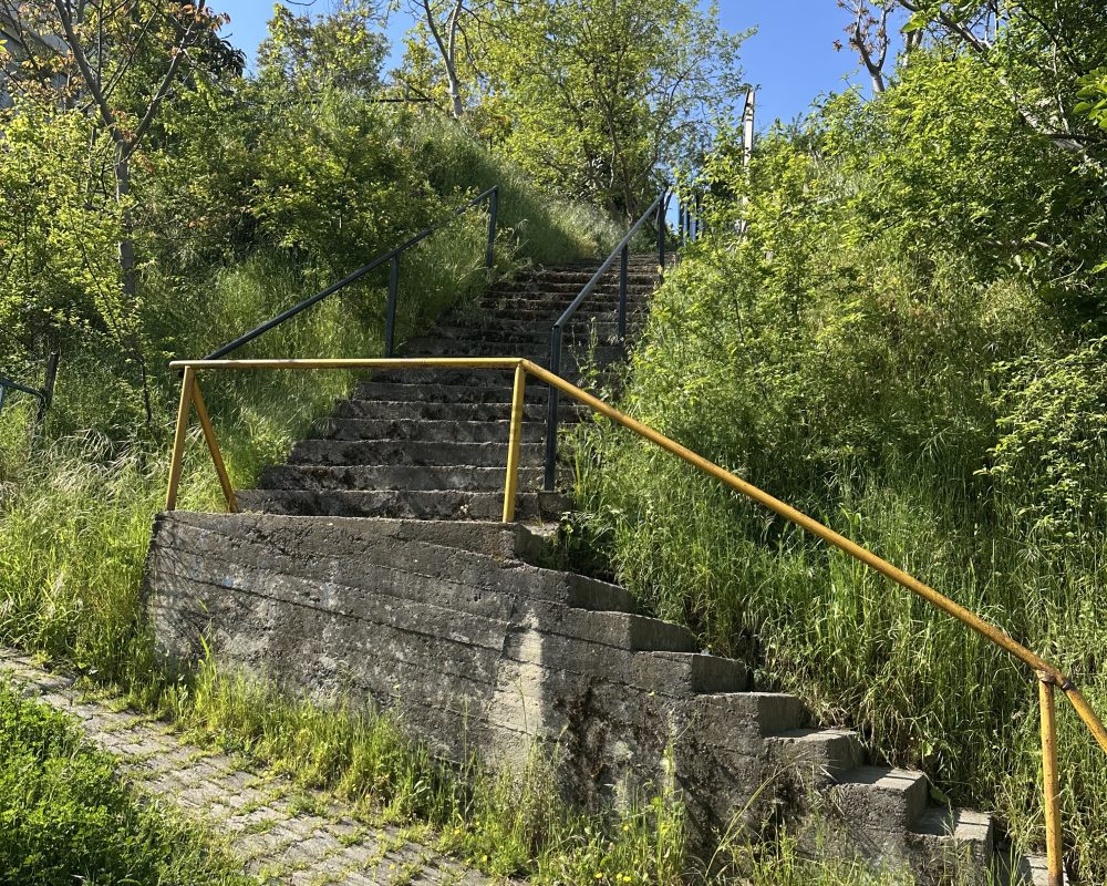 ÇAYIROVA EMEK MAHLLESİNDE YATIRIMLIK ARSA