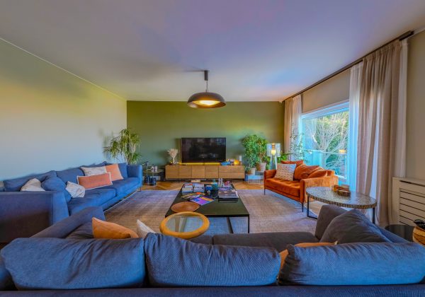 REMAX 7TEPE'DEN ACARKENT'TE İSKANDINAV TARZI SATILIK BR VILLA küçük görsel