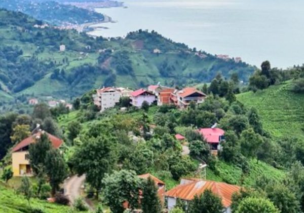 REMAX7TEPEDEN RİZE ARDEŞEN YENİYOLDA SATILIK YATIRIMLIK ARAZI