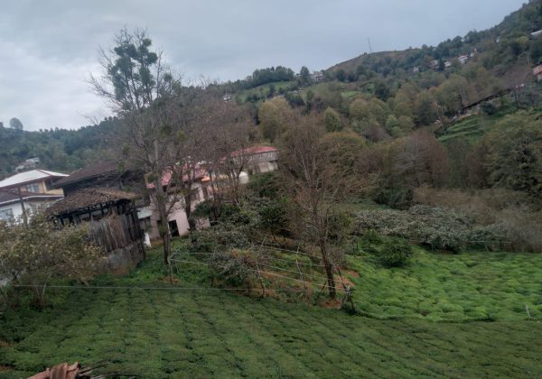 REMAX7TEPEDEN RİZE ARDEŞEN YENİYOLDA SATILIK YATIRIMLIK ARAZI küçük görsel