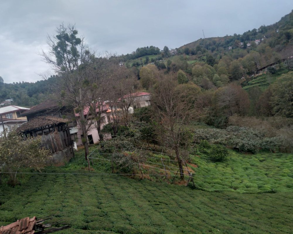 REMAX7TEPEDEN RİZE ARDEŞEN YENİYOLDA SATILIK YATIRIMLIK ARAZI