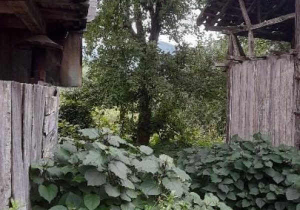 REMAX7TEPEDEN RİZE ARDEŞEN YENİYOLDA SATILIK YATIRIMLIK ARAZI küçük görsel