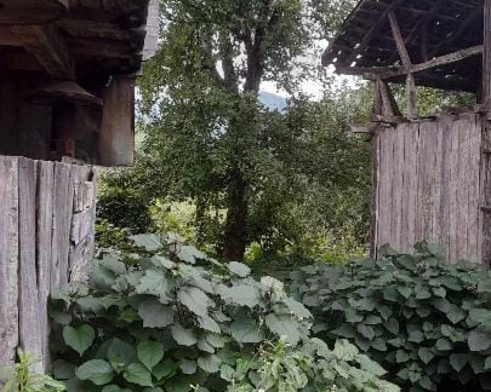 REMAX7TEPEDEN RİZE ARDEŞEN YENİYOLDA SATILIK YATIRIMLIK ARAZI