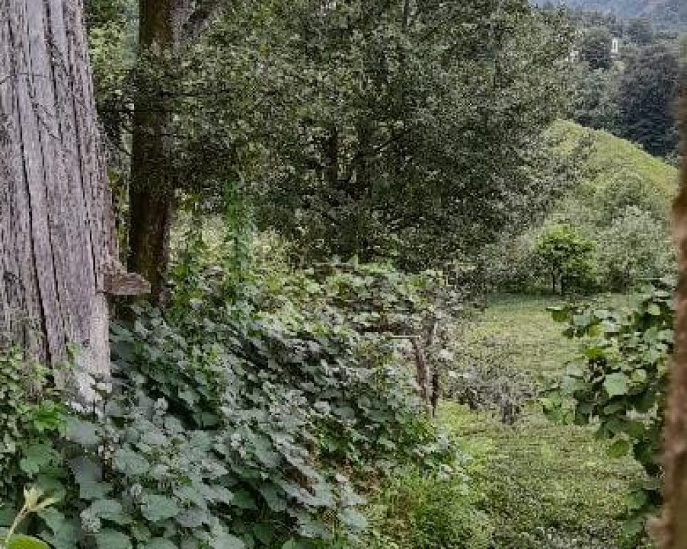 REMAX7TEPEDEN RİZE ARDEŞEN YENİYOLDA SATILIK YATIRIMLIK ARAZI