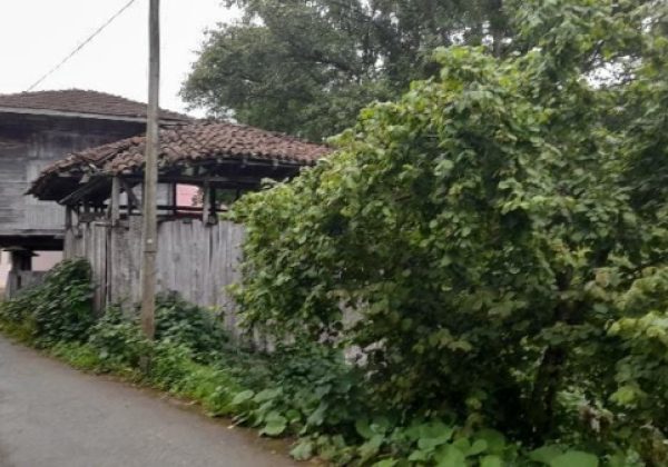 REMAX7TEPEDEN RİZE ARDEŞEN YENİYOLDA SATILIK YATIRIMLIK ARAZI küçük görsel