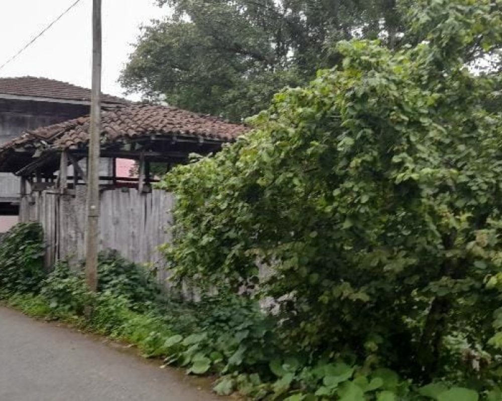 REMAX7TEPEDEN RİZE ARDEŞEN YENİYOLDA SATILIK YATIRIMLIK ARAZI