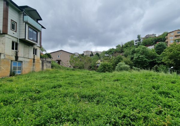 REMAX7TEPE DEN 4 KATLI 2000M2 BAHÇELİ KİRALIK İŞYERİ küçük görsel
