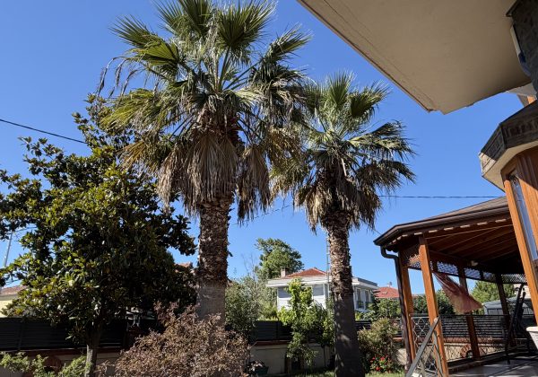 Şile de 4+1 havuzlı villa küçük görsel