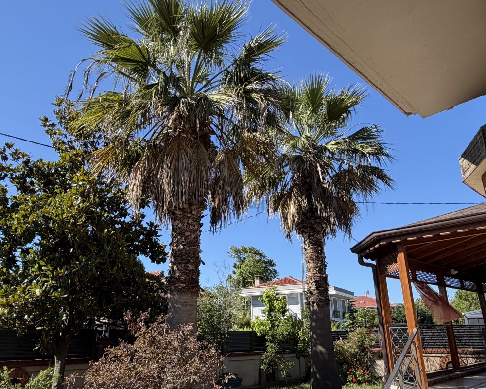 Şile de 4+1 havuzlı villa