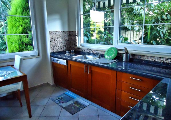 REMAX 7 TEPE'DEN ACARKENT MANZARALI ÖZEL SOKAKTA SATILIK B TİPİ küçük görsel