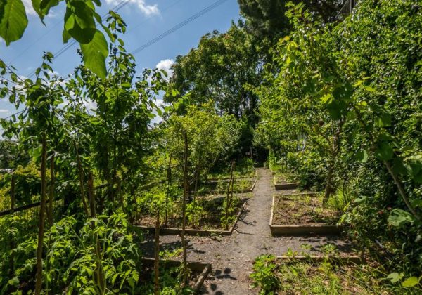 Acarkent'te 2000 m2 Arsa Payına Sahip Ana Güvenlik Kapısına Yakın C Tipi Satılık Villa küçük görsel