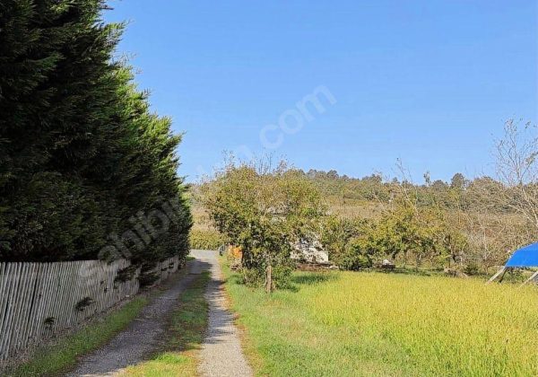 Remax7tepe den satılık 805 metre hisse tapulu arsa küçük görsel