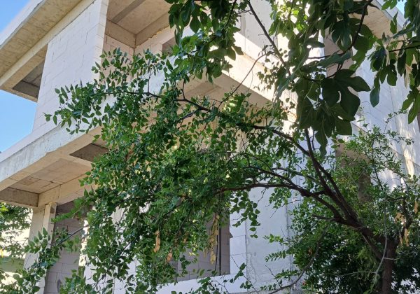 REMAX7TEPEDEN KARTAL ÇAVUŞOĞLUNDA KİRALIK İKİZ VİLLALAR küçük görsel