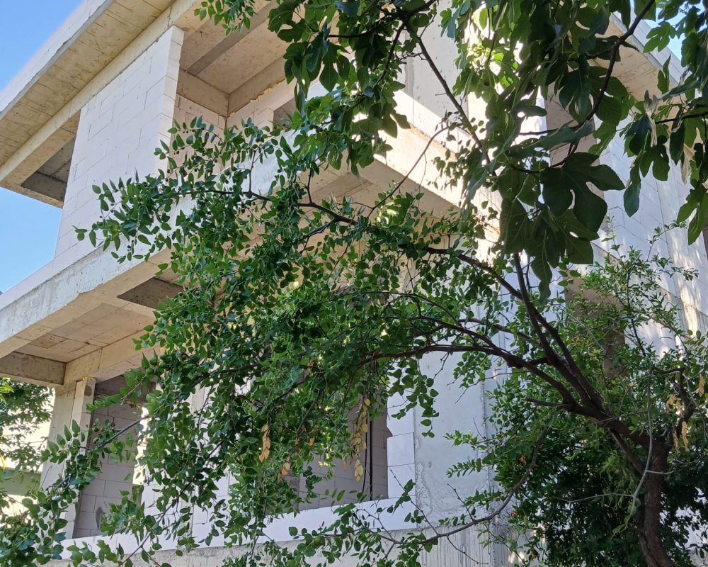 REMAX7TEPEDEN KARTAL ÇAVUŞOĞLUNDA KİRALIK İKİZ VİLLALAR