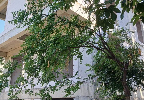 REMAX7TEPEDEN KARTAL ÇAVUŞOĞLUNDA KİRALIK İKİZ VİLLALAR küçük görsel