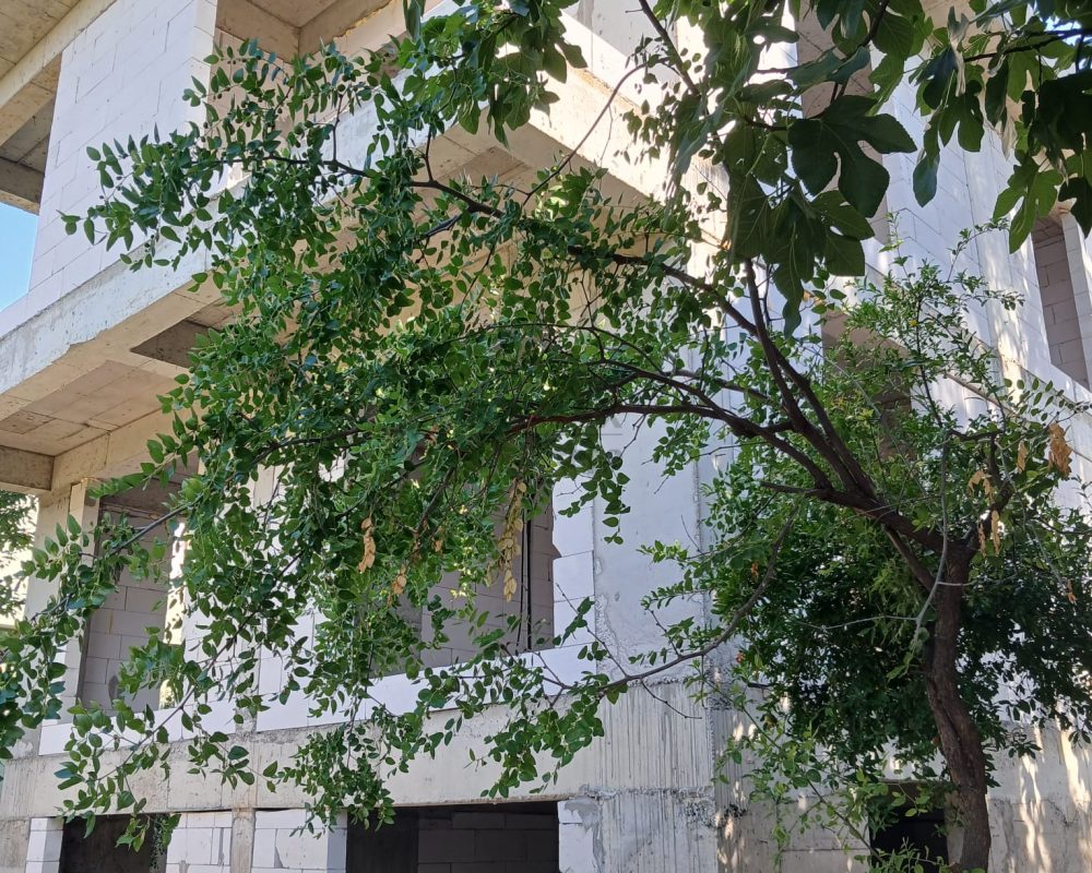 REMAX7TEPEDEN KARTAL ÇAVUŞOĞLUNDA KİRALIK İKİZ VİLLALAR