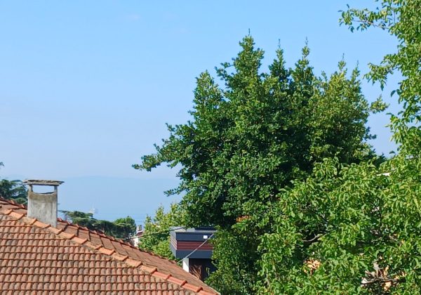 REMAX7TEPEDEN KARTAL ÇAVUŞOĞLUNDA KİRALIK İKİZ VİLLALAR küçük görsel