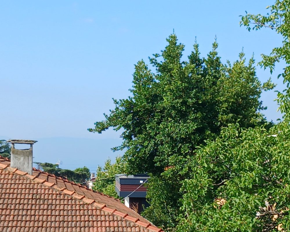 REMAX7TEPEDEN KARTAL ÇAVUŞOĞLUNDA KİRALIK İKİZ VİLLALAR