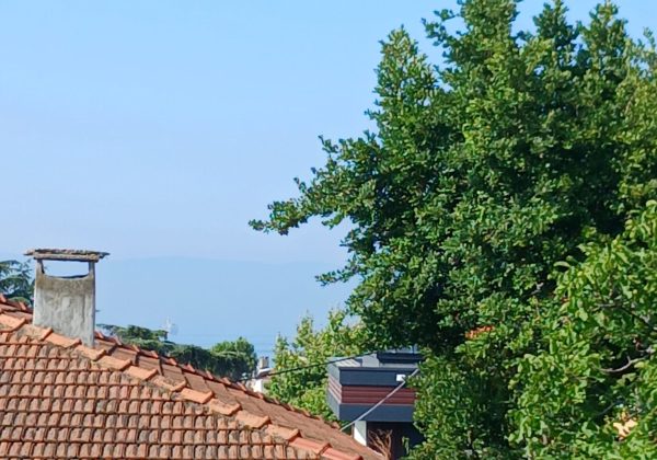 REMAX7TEPEDEN KARTAL ÇAVUŞOĞLUNDA KİRALIK İKİZ VİLLALAR küçük görsel