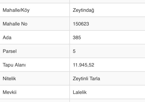 Remax7tepe den İzmir Bergama da satılık zeytinlik