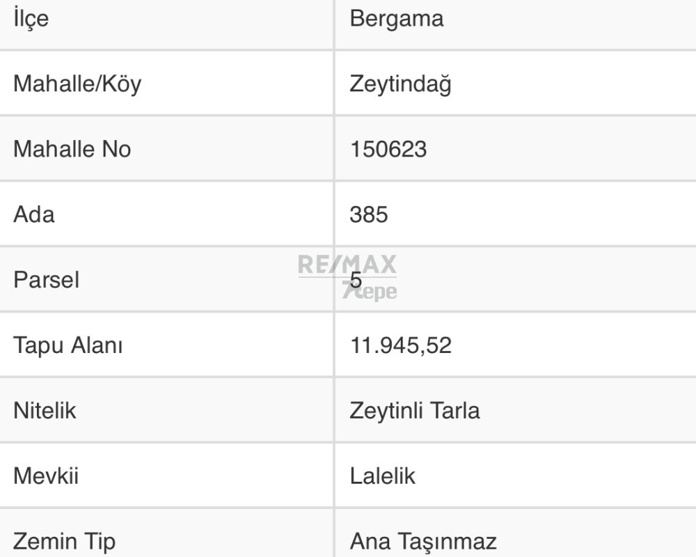 Remax7tepe den İzmir Bergama da satılık zeytinlik