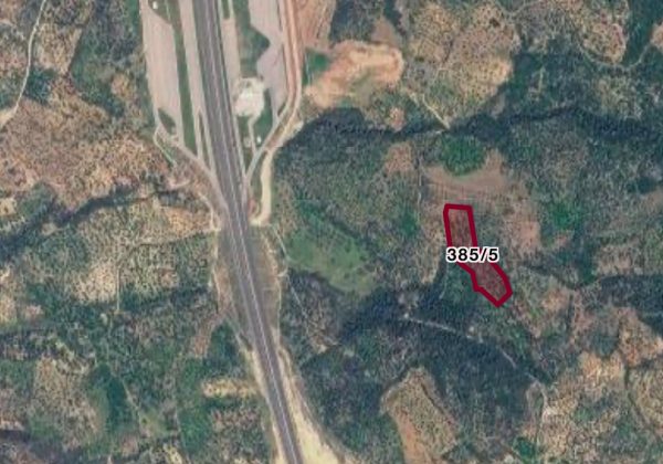 Remax7tepe den İzmir Bergama da satılık zeytinlik küçük görsel