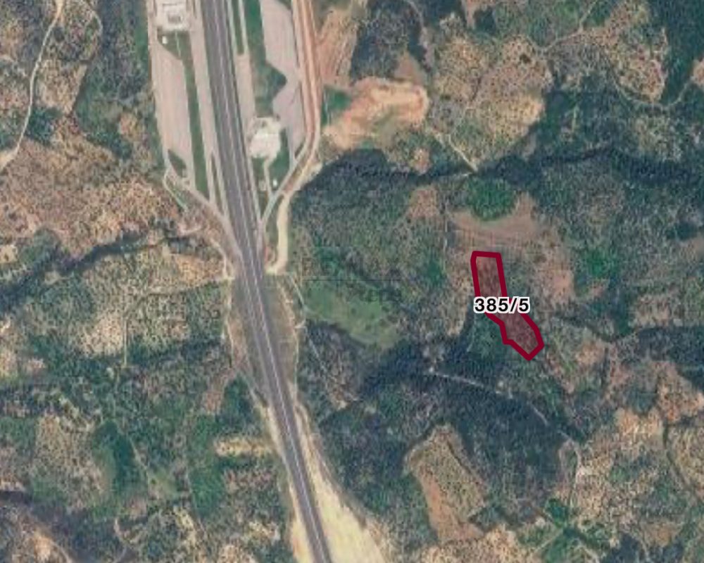 Remax7tepe den İzmir Bergama da satılık zeytinlik