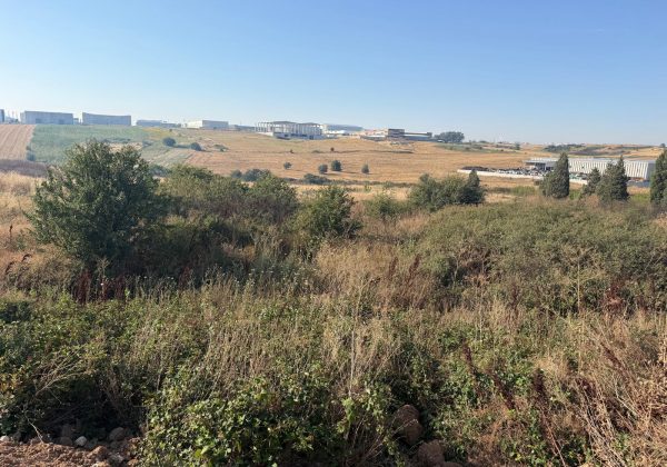 SANAYİNİN GELECEĞİNE YATIRIM! ERGENE YULAFLI'DA 9.670 M² OSB’NİN YANINDA SANAYİ PARSELİ küçük görsel