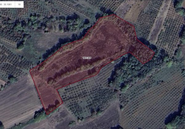 KOCAELI AĞVA İSTANBUL TONGUÇLAR FABRİKASI YAKININDA SATILIK küçük görsel
