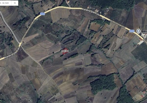 KOCAELİ SAFALI TONGUÇLAR FABRİKASI YAKIN SATILIK ÖZEL PARSEL küçük görsel