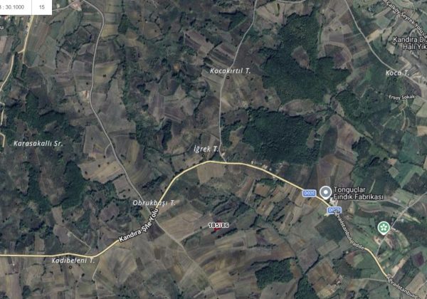 KOCAELİ SAFALI TONGUÇLAR FABRİKASI YAKIN SATILIK ÖZEL PARSEL küçük görsel