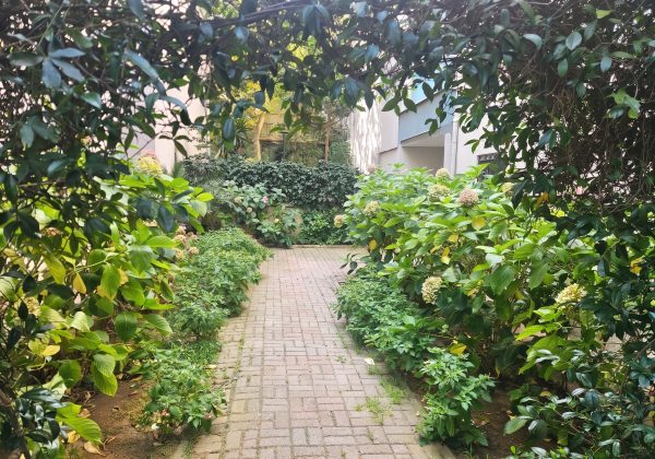Hisar Evlerinde Kiralık Ferah 3+1 Dubleks Daire küçük görsel