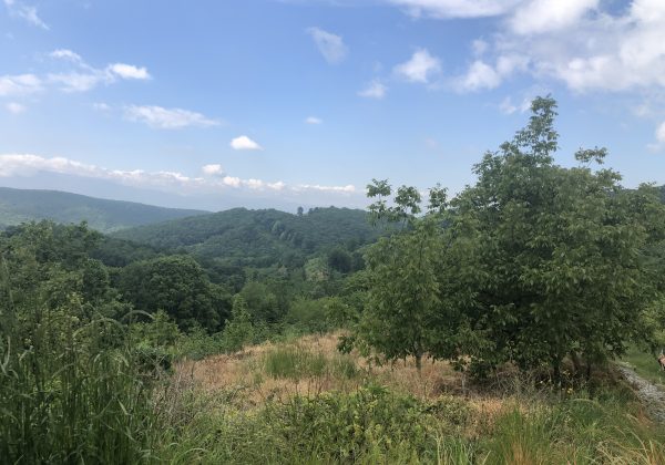 KOCAELİ İZMİT BALÖREN DAĞKÖY ARASI YOL KENARI MÜSTAKİL PARSEL küçük görsel