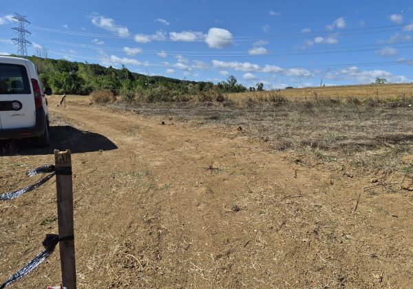 GEBZE DENİZLİ KÖYÜNDE YOLA CEPHELİ İMARLI 1316 M2 ARSA küçük görsel