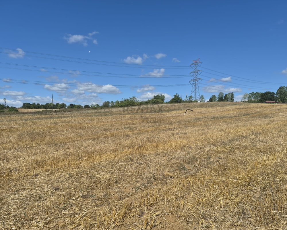 GEBZE DENİZLİ KÖYÜNDE YOLA CEPHELİ İMARLI 1316 M2 ARSA