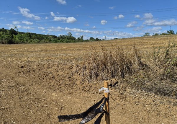 GEBZE DENİZLİ KÖYÜNDE YOLA CEPHELİ İMARLI 1316 M2 ARSA küçük görsel