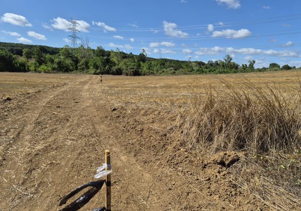 GEBZE DENİZLİ KÖYÜNDE YOLA CEPHELİ İMARLI 1316 M2 ARSA küçük görsel