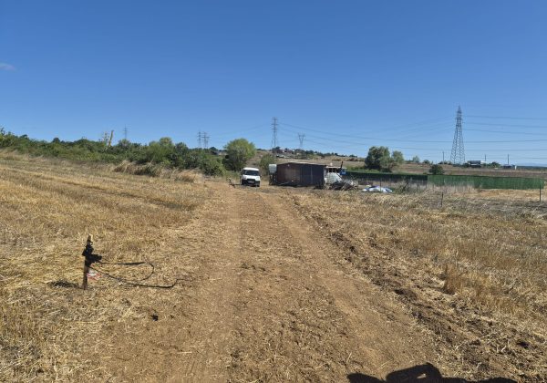 GEBZE DENİZLİ KÖYÜNDE YOLA CEPHELİ İMARLI 1316 M2 ARSA küçük görsel