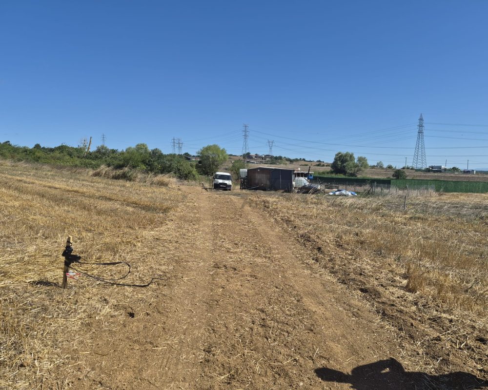 GEBZE DENİZLİ KÖYÜNDE YOLA CEPHELİ İMARLI 1316 M2 ARSA