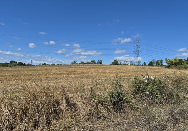 GEBZE DENİZLİ KÖYÜNDE YOLA CEPHELİ İMARLI 1316 M2 ARSA küçük görsel